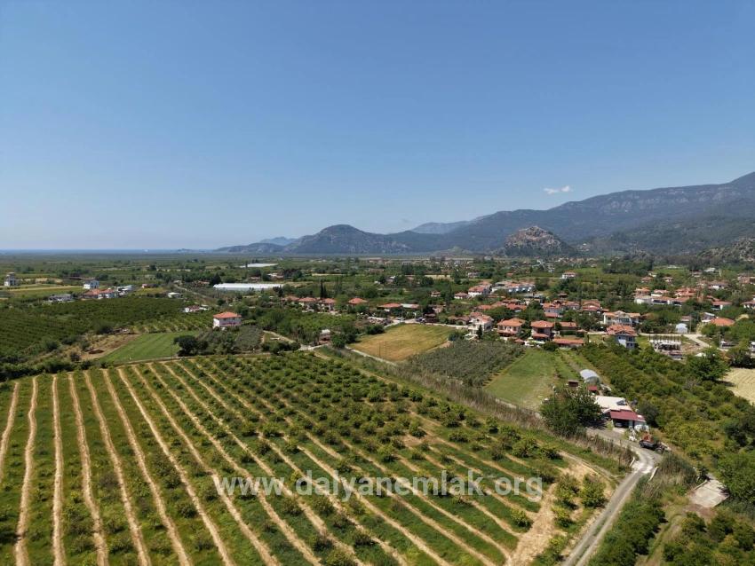 5100 M² Großes Grundstück In Der Nähe Des Stadtzentrums Von Dalyan Zu Verkaufen.