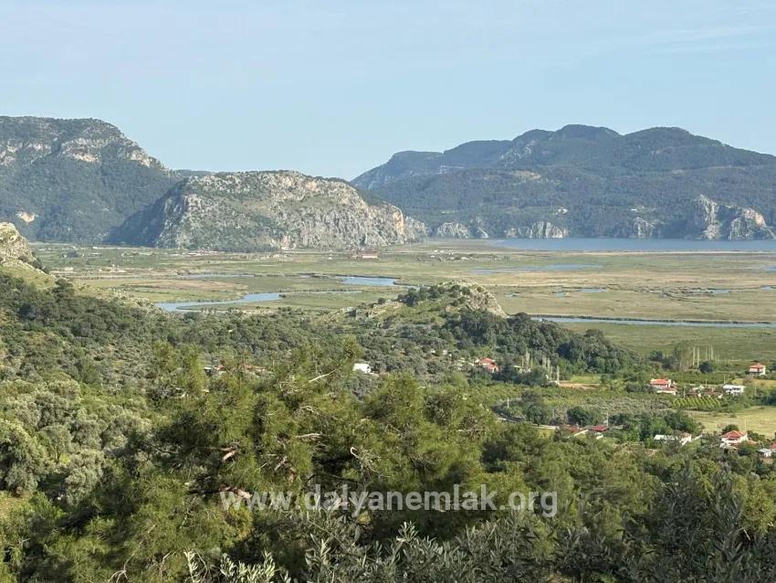 Feld Zu verkaufen in Çandır Bz. Köyceğiz - Feld-Zonierung - 1.252 m²