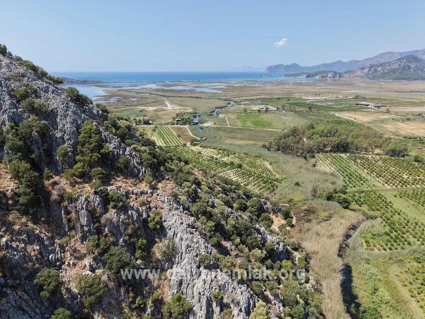 Feld Zu verkaufen in Dalyan Bz. Ortaca - Feld-Zonierung - 20.786 m²