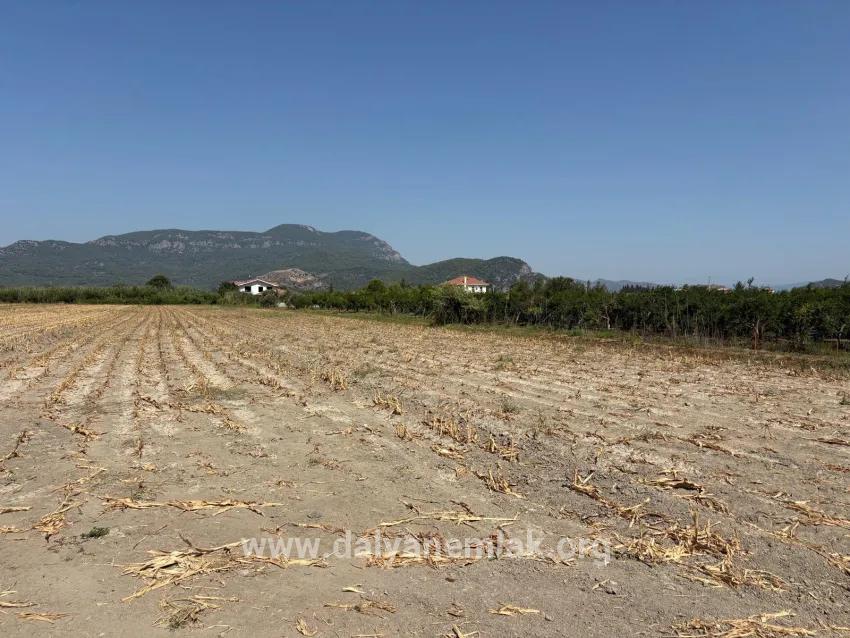 Feld Zu verkaufen in Dalyan Bz. Ortaca - Feld-Zonierung - 20.786 m²
