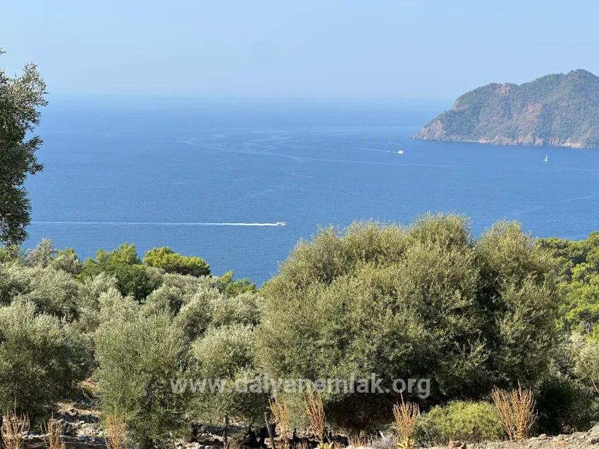 Feld Zu verkaufen in Çandır Bz. Köyceğiz - Feld-Zonierung - 21.000 m²