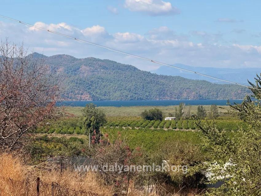 Feld Zu verkaufen in Dalyan Bz. Ortaca - Feld-Zonierung - 5.000 m²