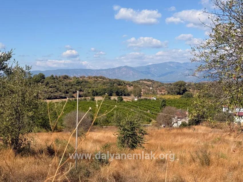 Feld Zu verkaufen in Dalyan Bz. Ortaca - Feld-Zonierung - 5.000 m²