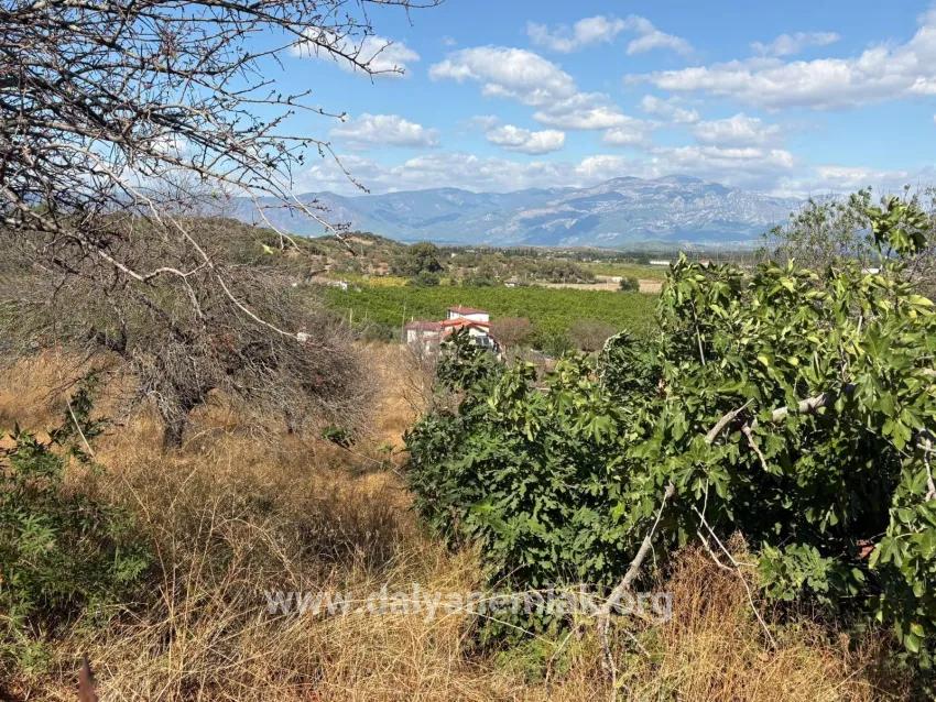Feld Zu verkaufen in Dalyan Bz. Ortaca - Feld-Zonierung - 5.000 m²