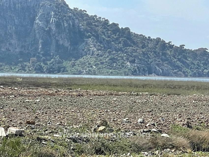19.600 M² Großes Grundstück Zum Verkauf, Direkt An Der Straße Dalyan Iztuzu Beach Gelegen.