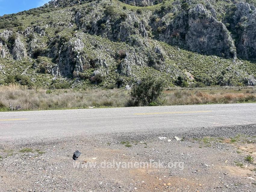 19.600 M² Großes Grundstück Zum Verkauf, Direkt An Der Straße Dalyan Iztuzu Beach Gelegen.