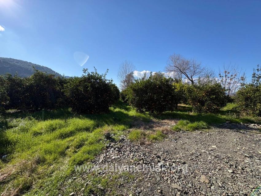 Land Zu verkaufen in Okçular Bz. Ortaca - Gehäuse-Zonierung - 4.326 m²