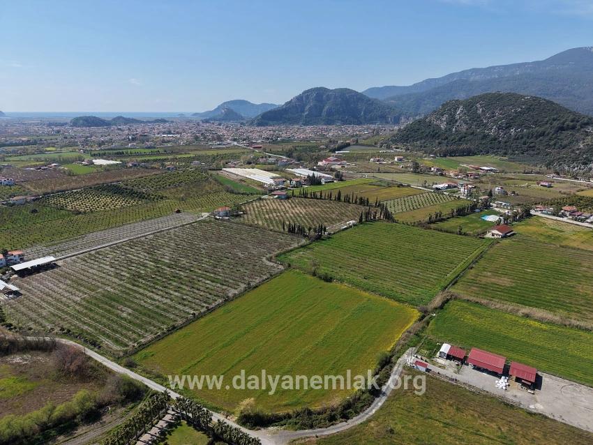 17.550 M2 Weinberg-bahce Zum Verkauf In Der Nähe Des Dalyan Centers