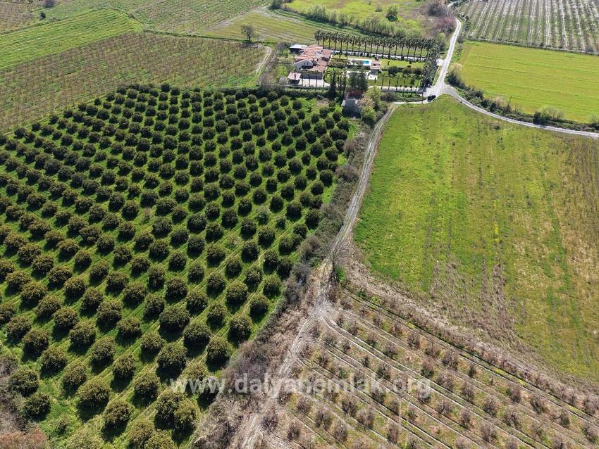 17.550 M2 Weinberg-bahce Zum Verkauf In Der Nähe Des Dalyan Centers