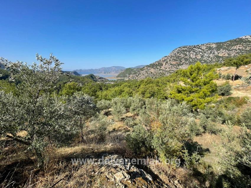 Land Zu verkaufen in Gökbel Bz. Ortaca - Gehäuse-Zonierung - 3.514 m²