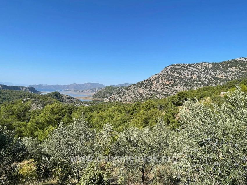 Land Zu verkaufen in Gökbel Bz. Ortaca - Gehäuse-Zonierung - 3.514 m²