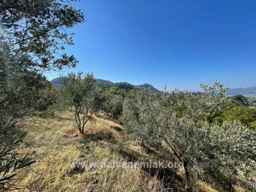 Land Zu verkaufen in Gökbel Bz. Ortaca - Gehäuse-Zonierung - 3.514 m²