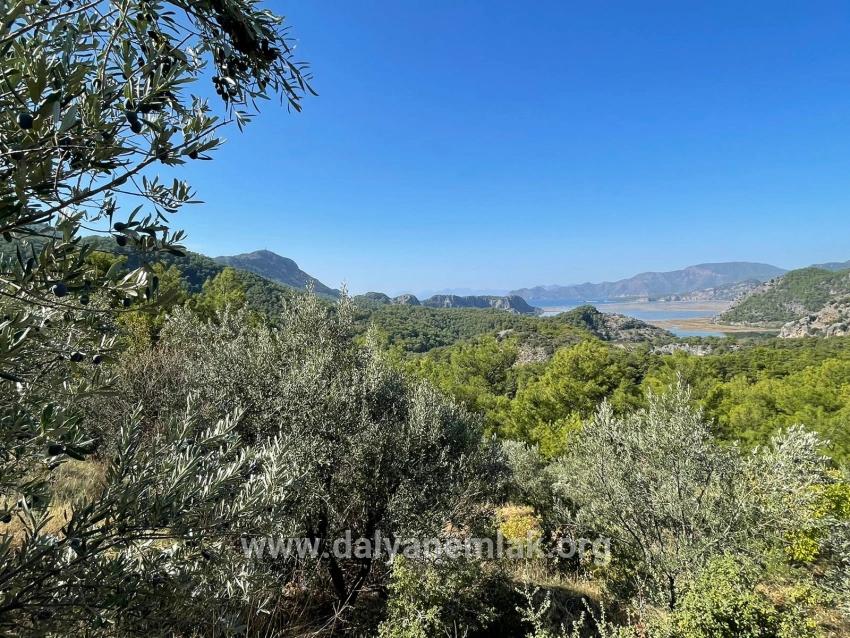 Land Zu verkaufen in Gökbel Bz. Ortaca - Gehäuse-Zonierung - 3.514 m²