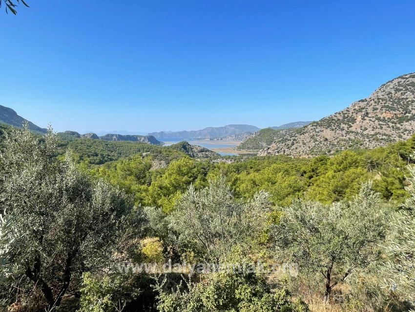 Land Zu verkaufen in Gökbel Bz. Ortaca - Gehäuse-Zonierung - 3.514 m²