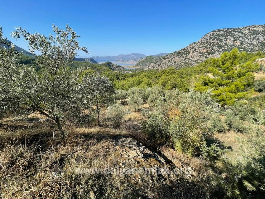 Land Zu verkaufen in Gökbel Bz. Ortaca - Gehäuse-Zonierung - 3.514 m²