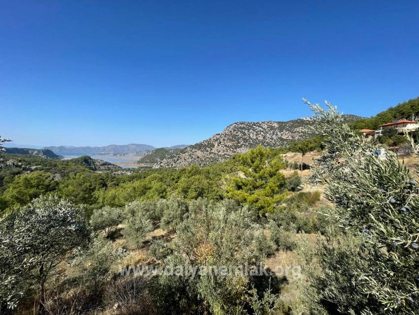 Land Zu verkaufen in Gökbel Bz. Ortaca - Gehäuse-Zonierung - 3.514 m²