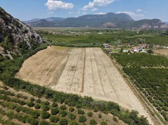 In Dalyan 20.786m2 Verkaufsfeld