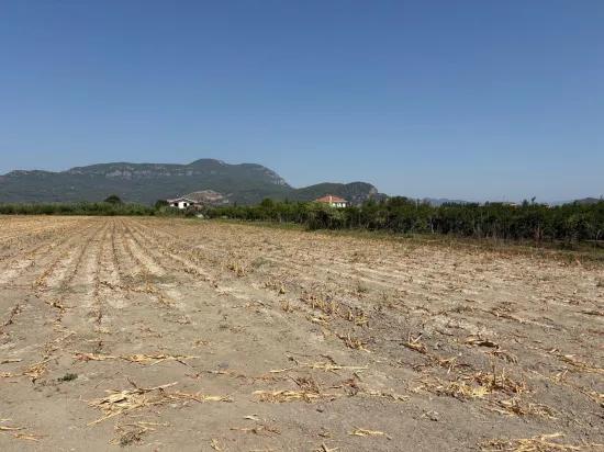 In Dalyan 20.786m2 Verkaufsfeld
