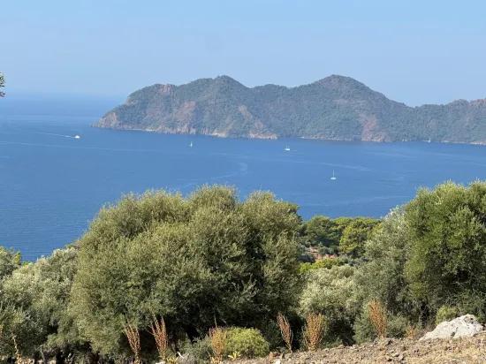 In Çandır mit Meerblick 21.000 m2 zu verkaufen 2b Feld
