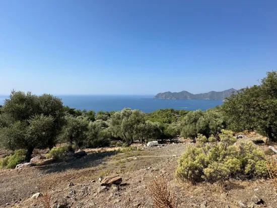 In Çandır mit Meerblick 21.000 m2 zu verkaufen 2b Feld