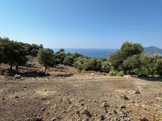 In Çandır mit Meerblick 21.000 m2 zu verkaufen 2b Feld