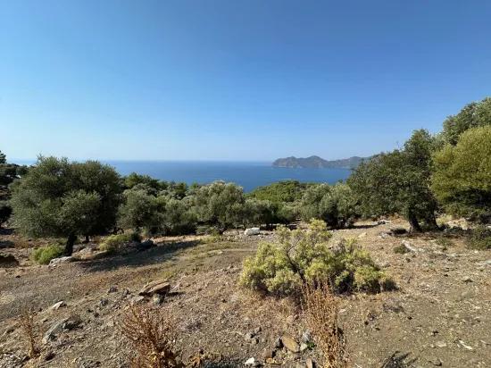 In Çandır mit Meerblick 21.000 m2 zu verkaufen 2b Feld