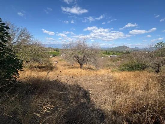 In Dalyan Karadağ Seeblick 5.000m2 zu verkaufen Acker