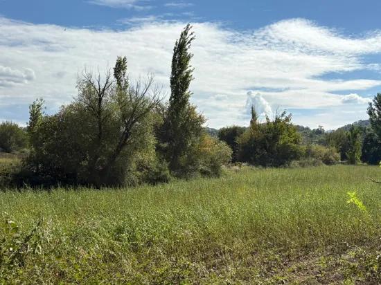 10.500 m2 zum Verkauf Feld In Köyceğiz Zeytinalanı
