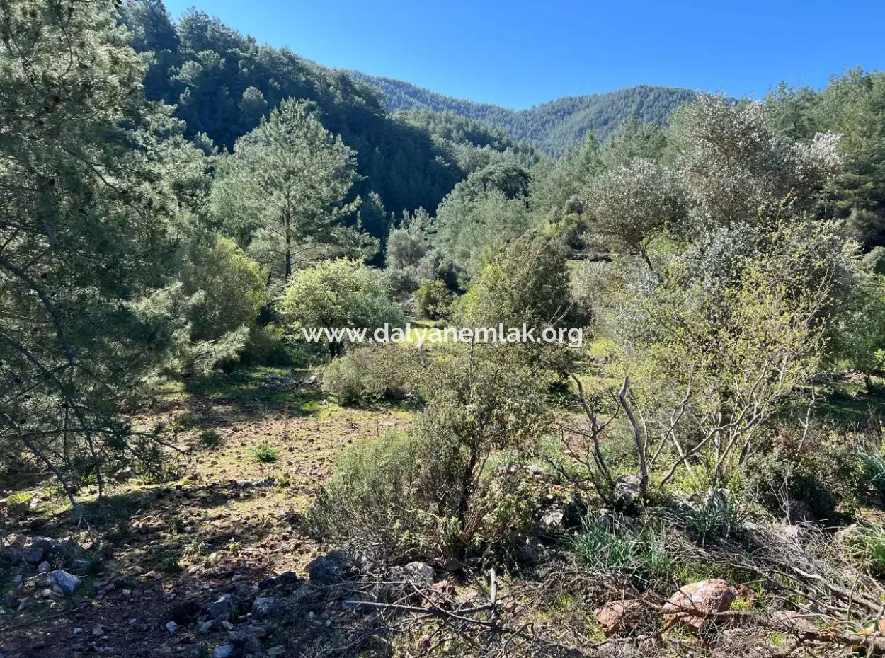 Grundstück Zum Verkauf In Natur Und Wald In Gökbel