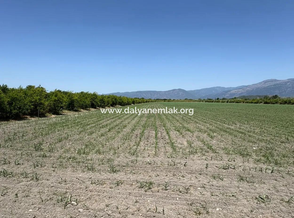 46.550M2 Grundstück Zum Verkauf In Tepearası