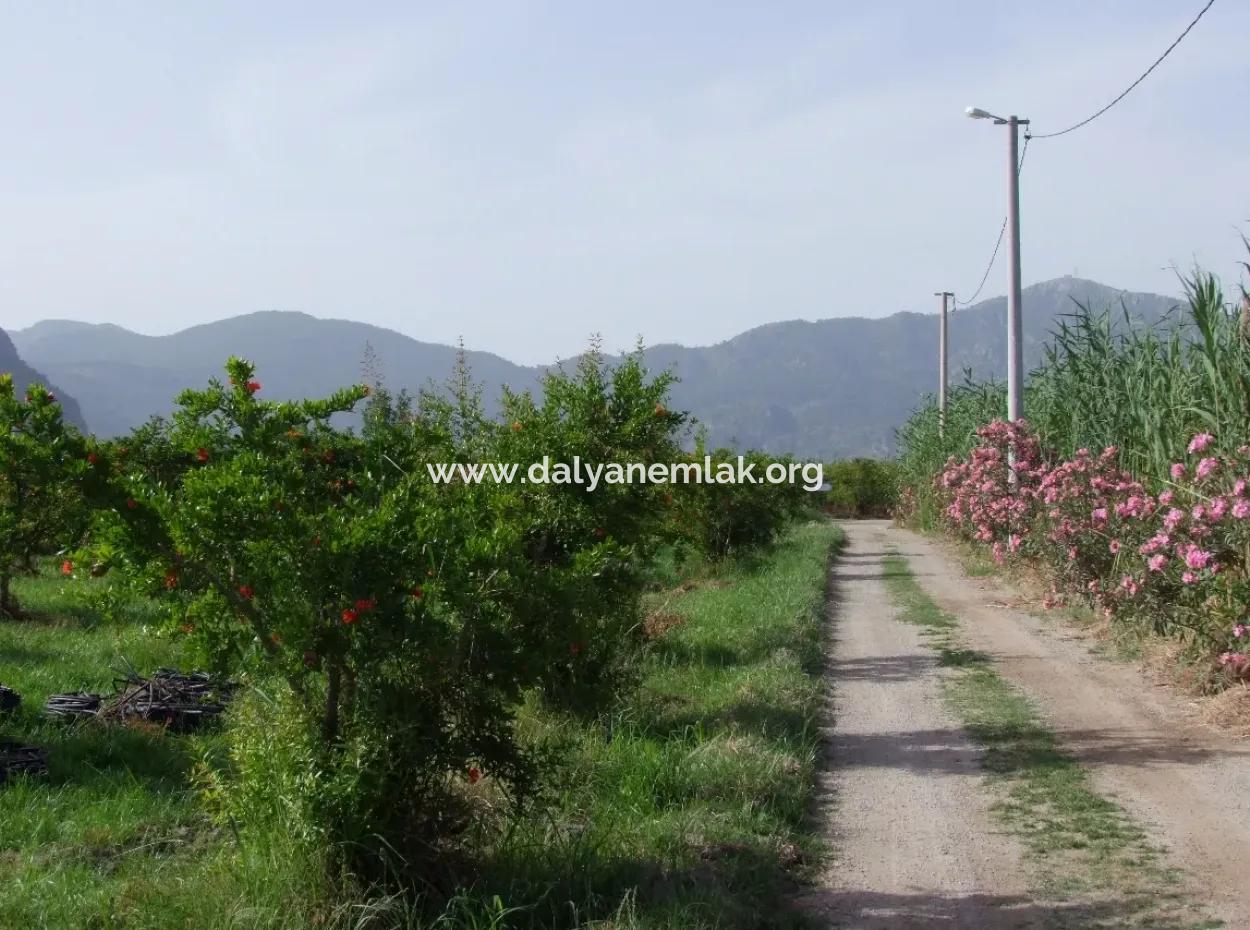 Merkez Dalyan Iztuzu See-Garten-Villa Zum Verkauf