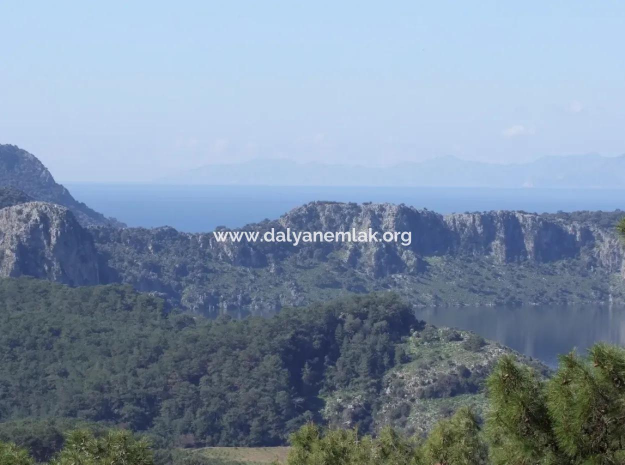Landwirtschaftliche Grundstück Zum Verkauf Mit Meerblick Zum Verkauf In Gokbel