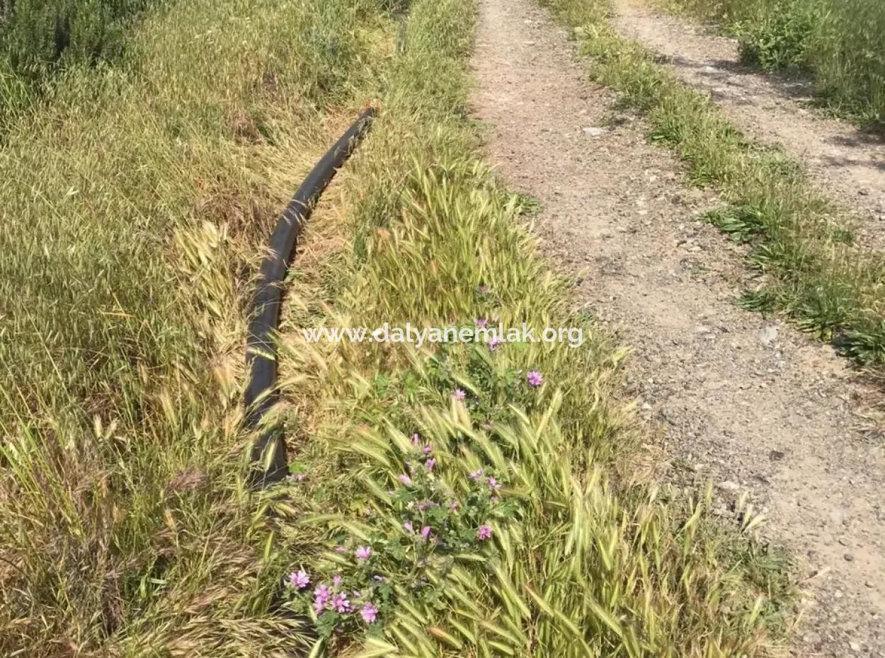 Ackerland Zum Verkauf In Seydikemer Korubuku 76000M2