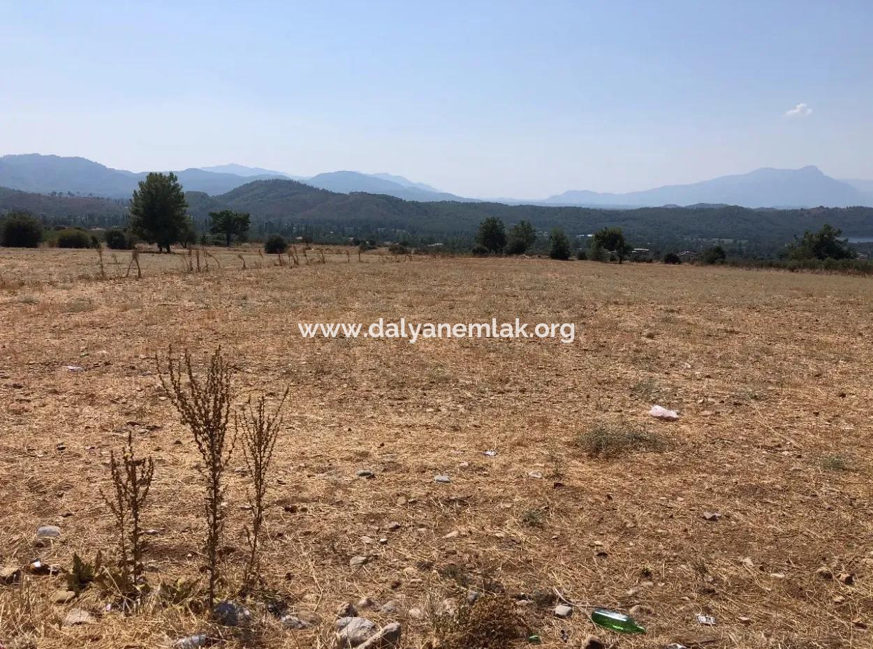 11.227M2 Grundstück Zum Verkauf Mit Seeblick In Köyceğiz Zeytinalan