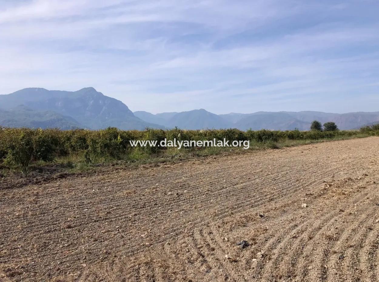 Ackerland Zu Verkaufen In Esköy 8500M2 Ackerland Zu Verkaufen