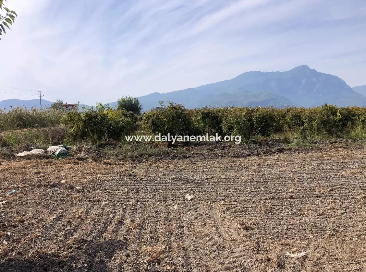 Ackerland Zu Verkaufen In Esköy 8500M2 Ackerland Zu Verkaufen