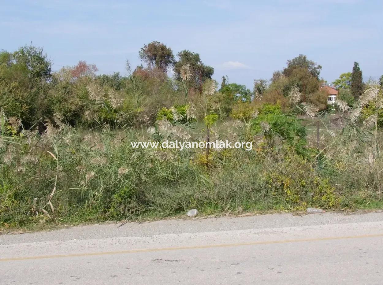 Grundstück Zu Verkaufen In Guzelyurt Land Zu Verkaufen Null 5515M2 Land Zum Verkauf An Der Hauptstraße