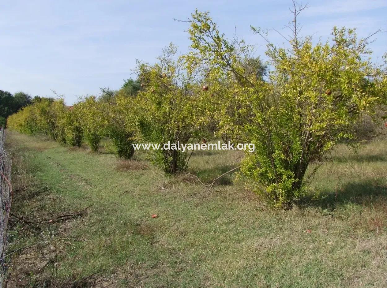 Güzelyurt Land Zu Verkaufen Dorf Gebaut 6670M2 Land Zum Verkauf