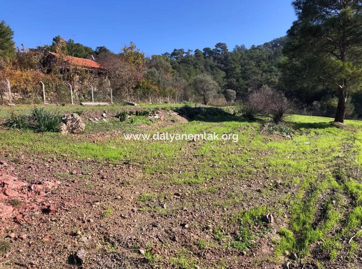 Gokbel Land Zu Verkaufen 8000M2 Land Zum Verkauf Mit Voller Meerblick