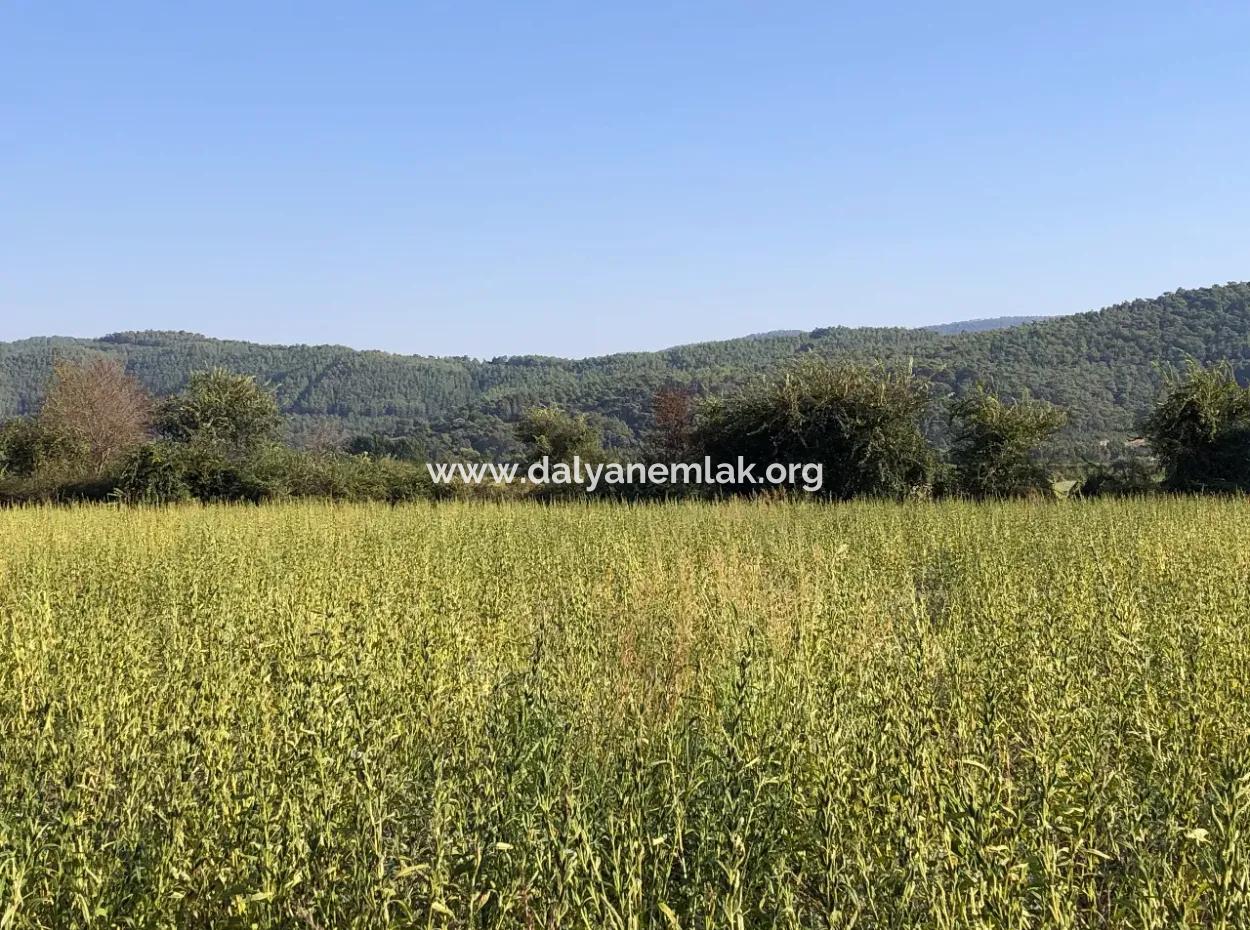 Field Zu Verkaufen In Ak'apinar 100 Acres Zu Verkaufen