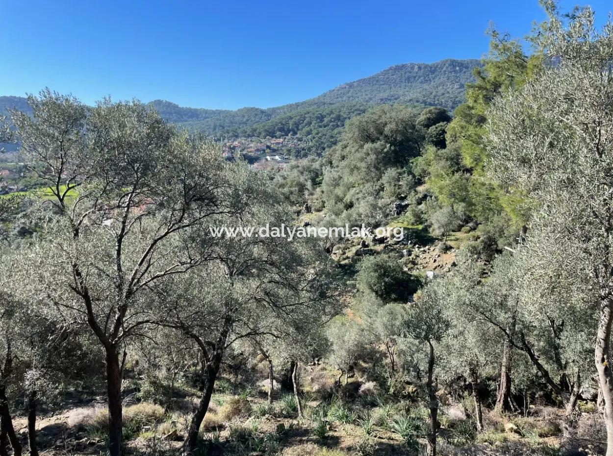 950M2 2B Feld Zum Verkauf Mit Meer- Und Seeblick In Çandır