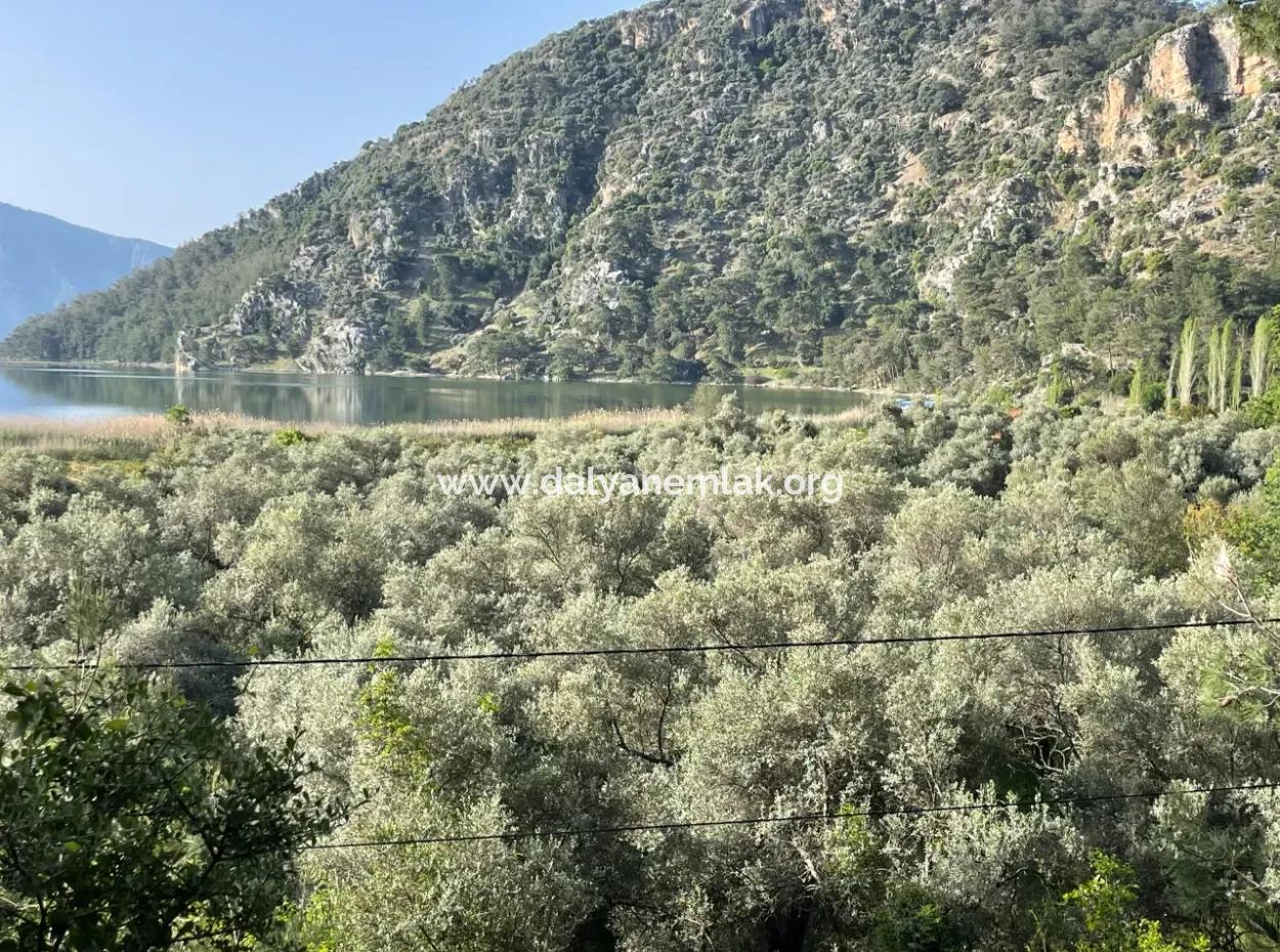 1.136M2 Feldgrundstück Zum Verkauf Mit Çandır Seeblick