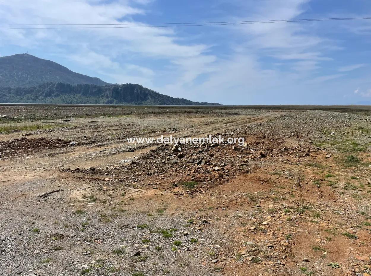 Dalyan Iztuzu Strand Straße Null 19.600M2 Feld Land Zum Verkauf