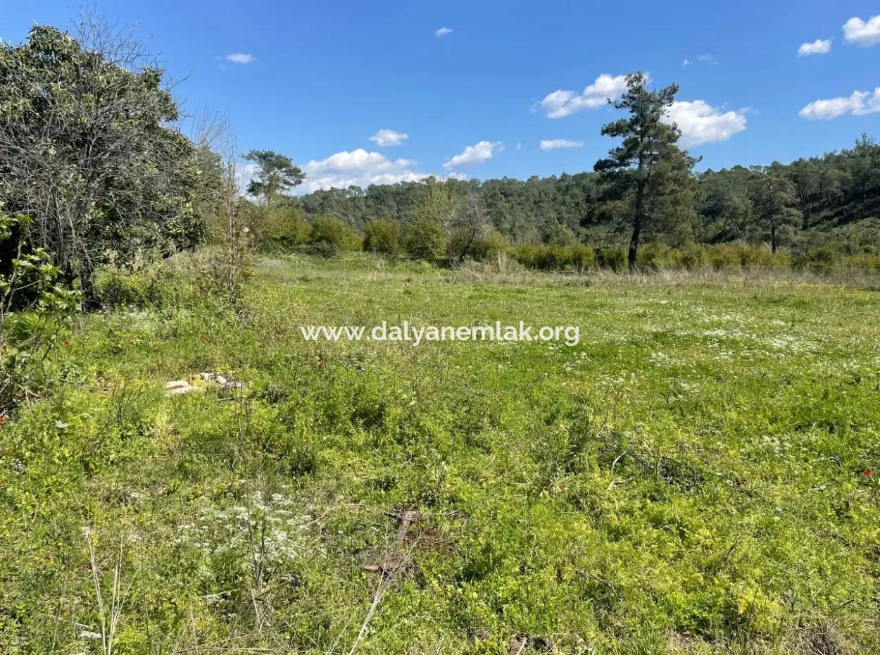 Mehrfamilienhaus Zum Verkauf In 5650M2 Feld In Zeytinalann