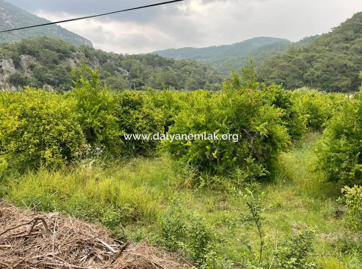 Gökbelde 14.000M2 Feld Zu Verkaufen