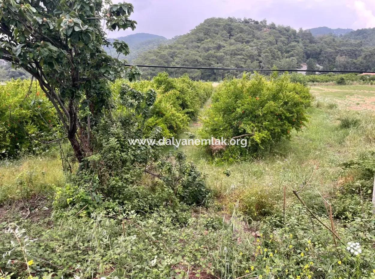 Gökbelde 14.000M2 Feld Zu Verkaufen