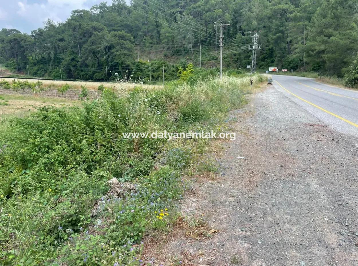 Gökbelde 14.000M2 Feld Zu Verkaufen