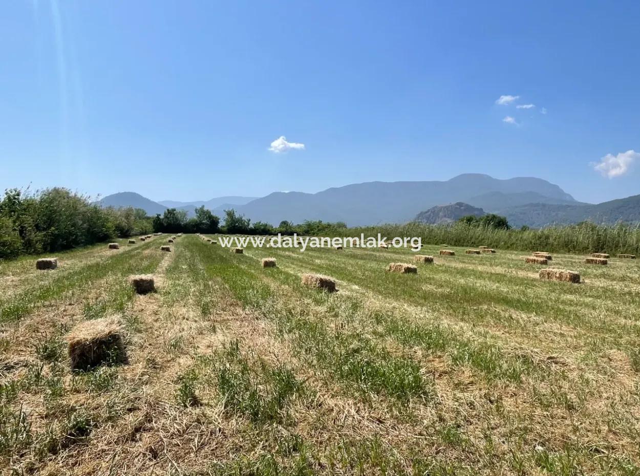 6.500 M2 Feld Zum Verkauf An Der Iztuzu-Straße In Dalyan