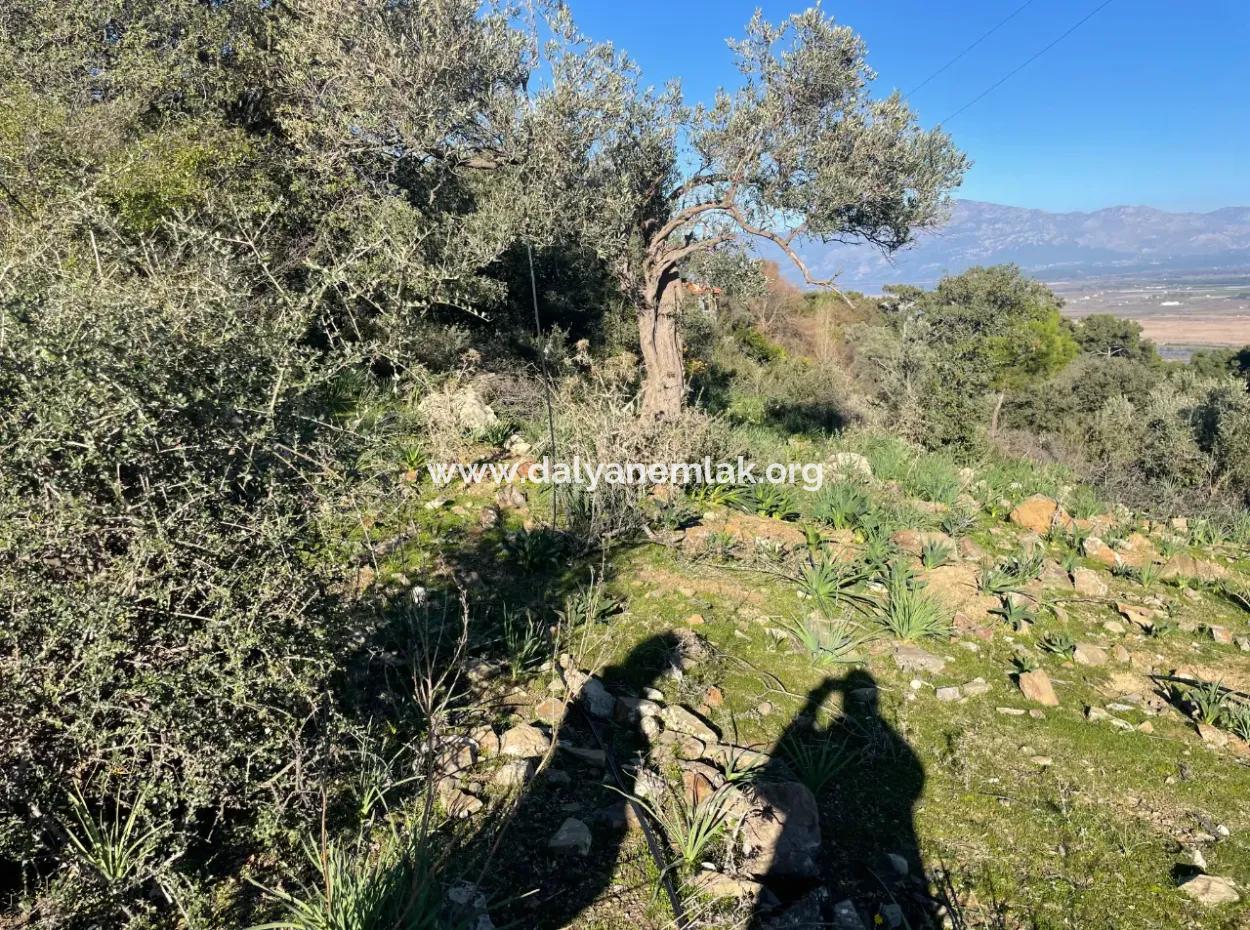 2B Grundstück Zum Verkauf Mit Meerblick In Çandır