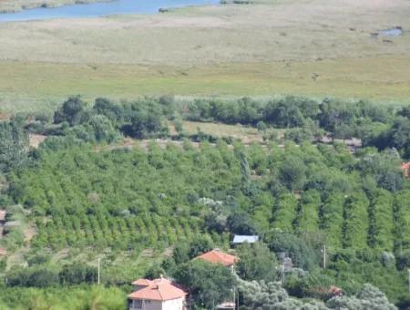 Grundstück Zum Verkauf In Çandır Meerblick 6265 M2 Grundstück Zum Verkauf